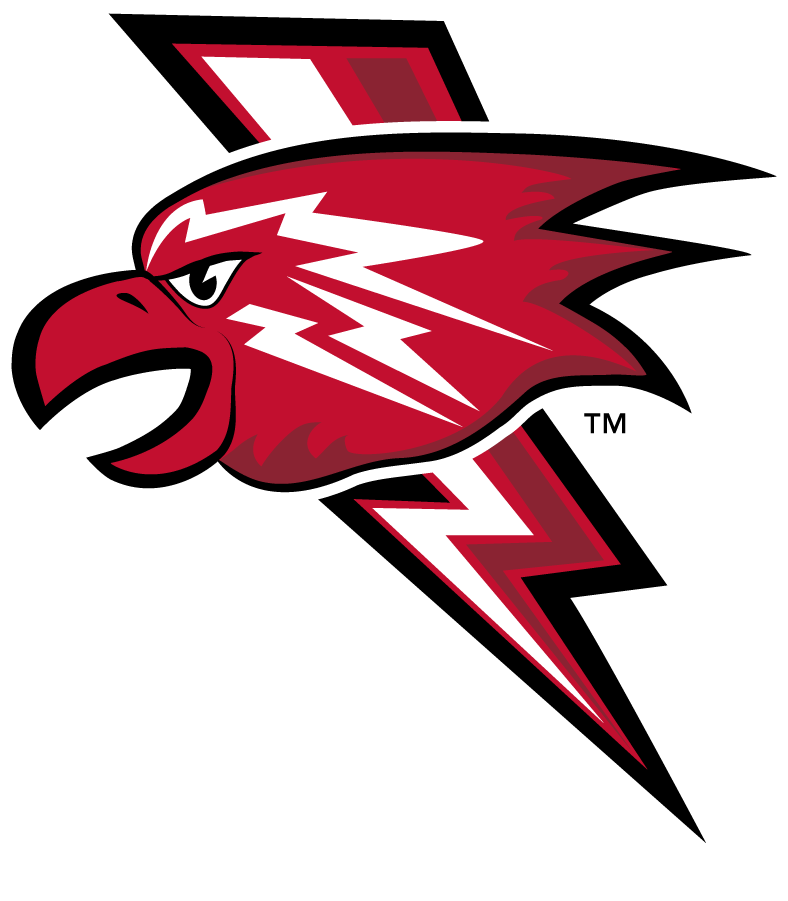 St. John's Red Storm 2013-2015 Misc Logo iron on transfers for clothing